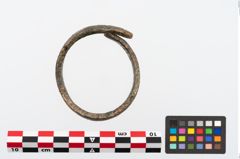 Foto von Bronzearmreif (NHMW-PRAE-025215)